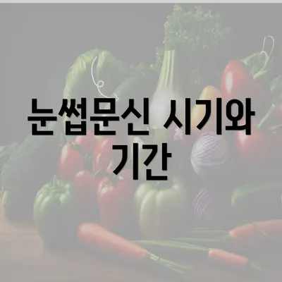 눈썹문신 시기와 기간