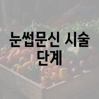 눈썹문신 시술 단계