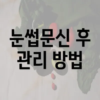 눈썹문신 후 관리 방법