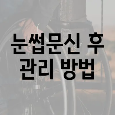 눈썹문신 후 관리 방법