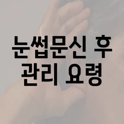 눈썹문신 후 관리 요령