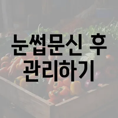 눈썹문신 후 관리하기