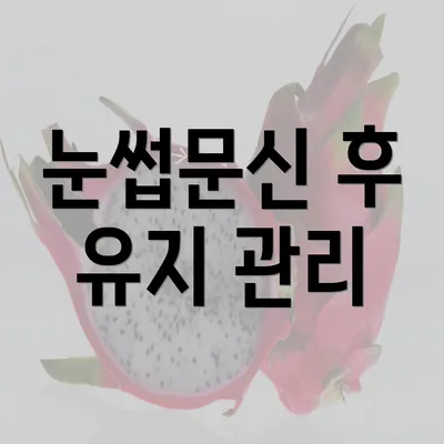 눈썹문신 후 유지 관리