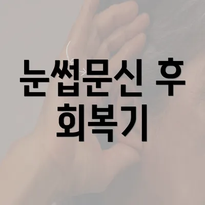 눈썹문신 후 회복기