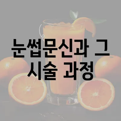 눈썹문신과 그 시술 과정