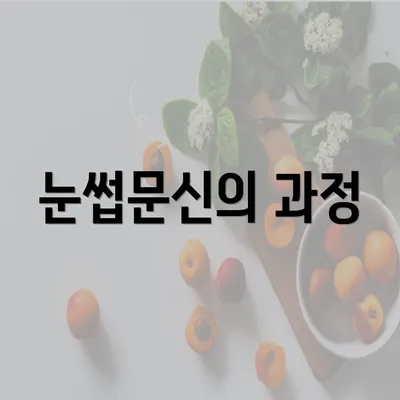 눈썹문신의 과정