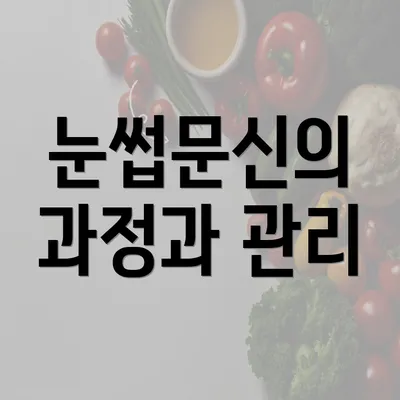 눈썹문신의 과정과 관리