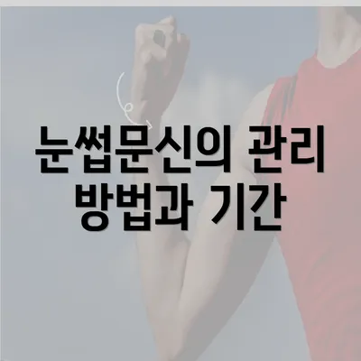 눈썹문신의 관리 방법과 기간