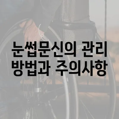 눈썹문신의 관리 방법과 주의사항