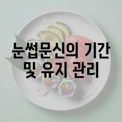 눈썹문신의 기간 및 유지 관리