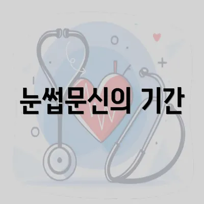 눈썹문신의 기간