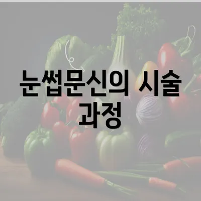 눈썹문신의 시술 과정