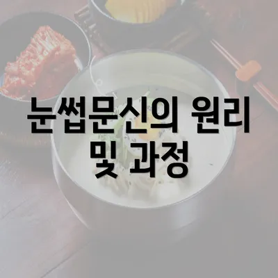 눈썹문신의 원리 및 과정