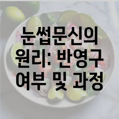 눈썹문신의 원리: 반영구 여부 및 과정