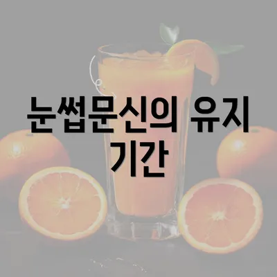 눈썹문신의 유지 기간