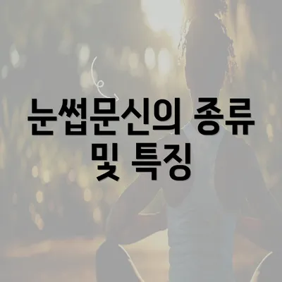 눈썹문신의 종류 및 특징