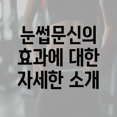 눈썹문신의 효과에 대한 자세한 소개