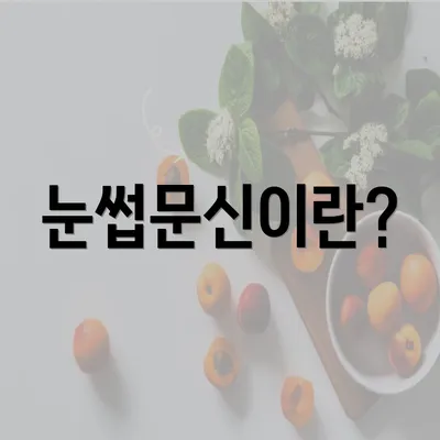 눈썹문신이란?