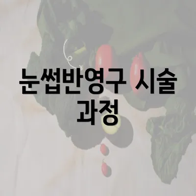 눈썹반영구 시술 과정