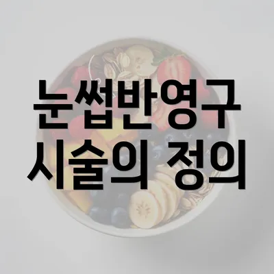 눈썹반영구 시술의 정의