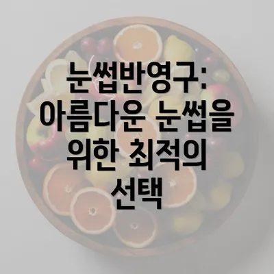 눈썹반영구: 아름다운 눈썹을 위한 최적의 선택