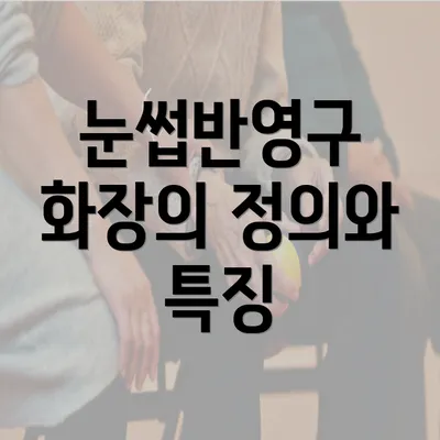 눈썹반영구 화장의 정의와 특징