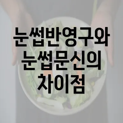 눈썹반영구와 눈썹문신의 차이점