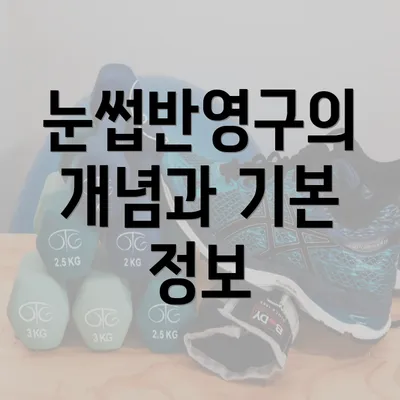 눈썹반영구의 개념과 기본 정보