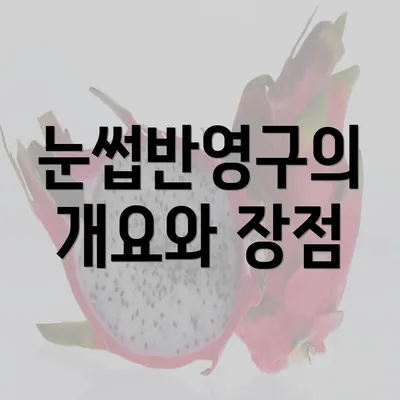 눈썹반영구의 개요와 장점