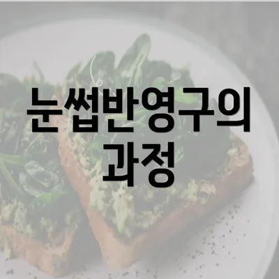 눈썹반영구의 과정