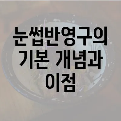 눈썹반영구의 기본 개념과 이점