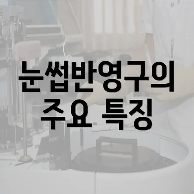 눈썹반영구의 주요 특징