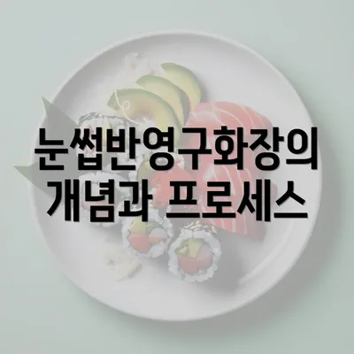 눈썹반영구화장의 개념과 프로세스