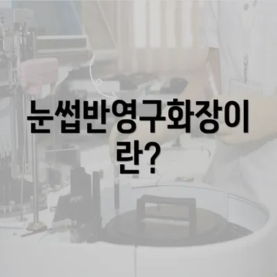 눈썹반영구화장이란?