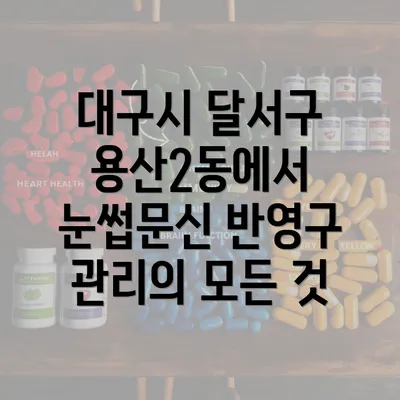 대구시 달서구 용산2동에서 눈썹문신 반영구 관리의 모든 것