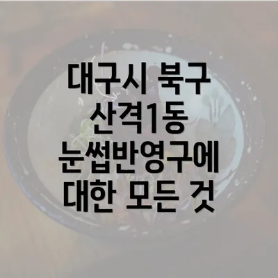 대구시 북구 산격1동 눈썹반영구에 대한 모든 것