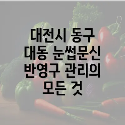 대전시 동구 대동 눈썹문신 반영구 관리의 모든 것