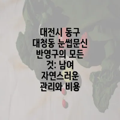 대전시 동구 대청동 눈썹문신 반영구의 모든 것: 남여 자연스러운 관리와 비용