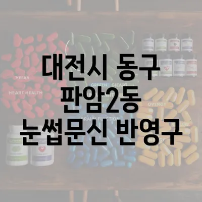 대전시 동구 판암2동 눈썹문신 반영구