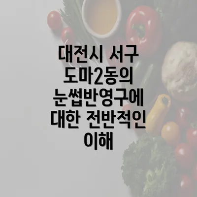 대전시 서구 도마2동의 눈썹반영구에 대한 전반적인 이해