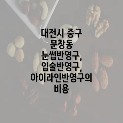 대전시 중구 문창동 눈썹반영구, 입술반영구, 아이라인반영구의 비용