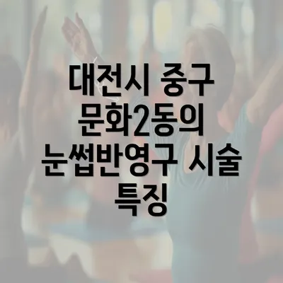 대전시 중구 문화2동의 눈썹반영구 시술 특징