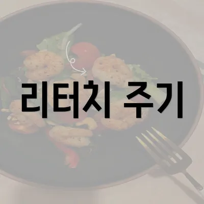 리터치 주기