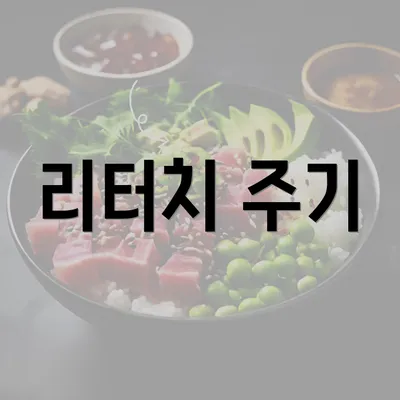 리터치 주기