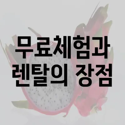 무료체험과 렌탈의 장점