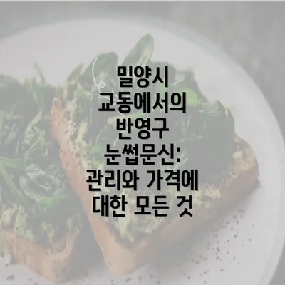 밀양시 교동에서의 반영구 눈썹문신: 관리와 가격에 대한 모든 것