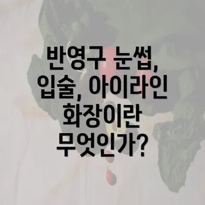 반영구 눈썹, 입술, 아이라인 화장이란 무엇인가?