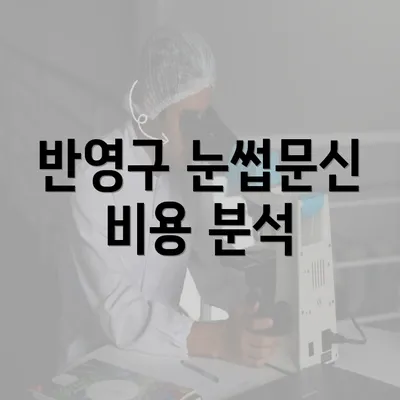 반영구 눈썹문신 비용 분석