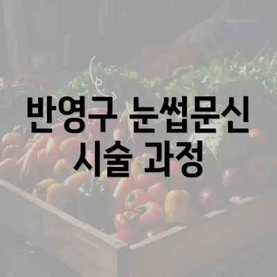 반영구 눈썹문신 시술 과정