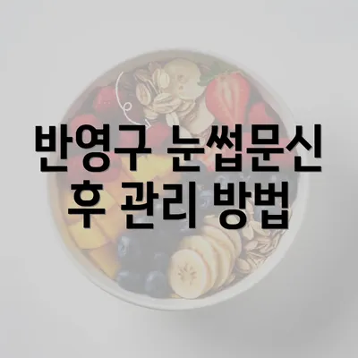 반영구 눈썹문신 후 관리 방법